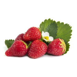 Ostara aardbeien van aardbeiplanten