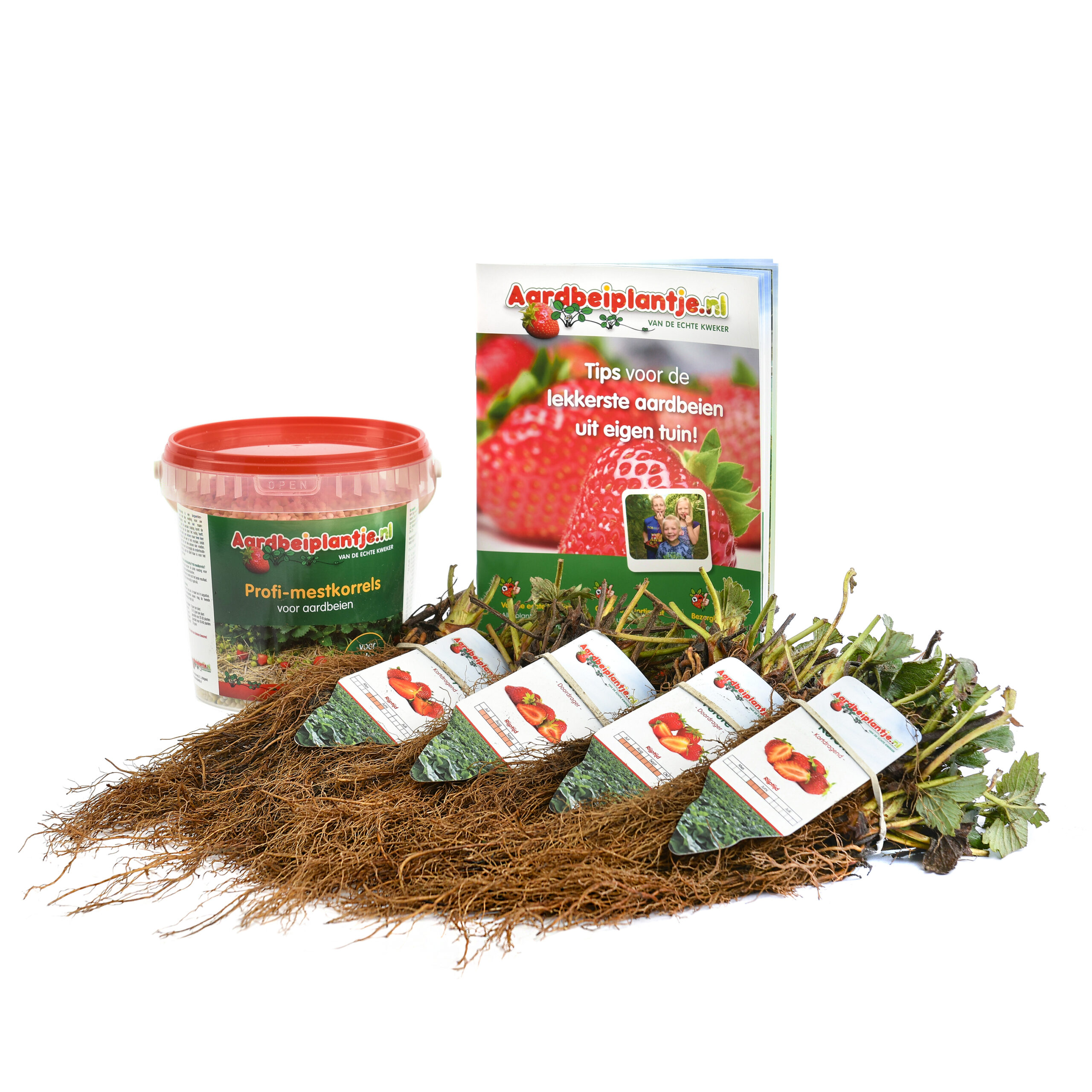 Henselmans-4939 bkl smulpakket aardbeiplanten 40 of 80 stuks met 1 kilo meststof en informatieboekje van aardbeiplantje.nl