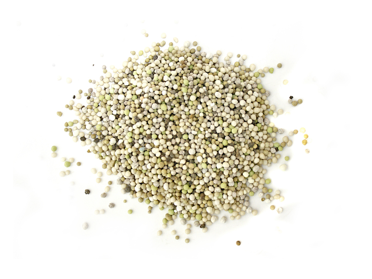 Erdbeerprofi-Pflanzendünger-1 proffesionele aardbeien mestkorrels