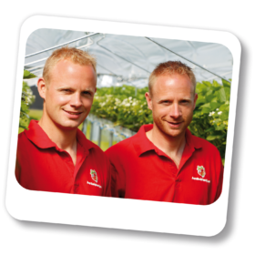 Joep en Joost voor site Joep en Joost Henselmans aardbeiplanten kwekers