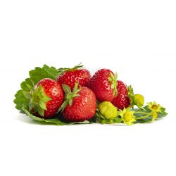 Sonsation aardbeien van aardbeiplanten