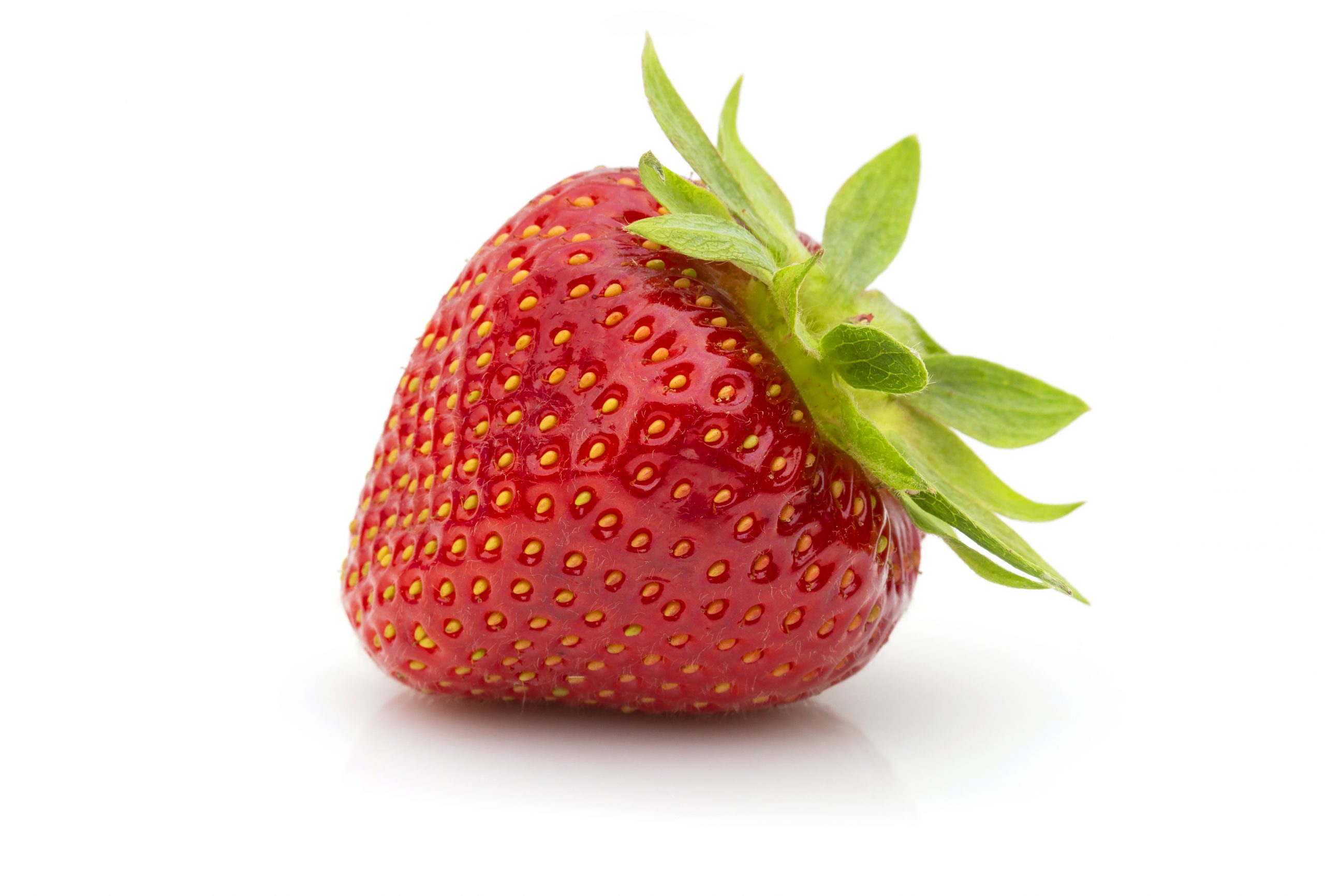 Verdi 1 FE1711 Marga studio 2019 (3) Verdi aardbei