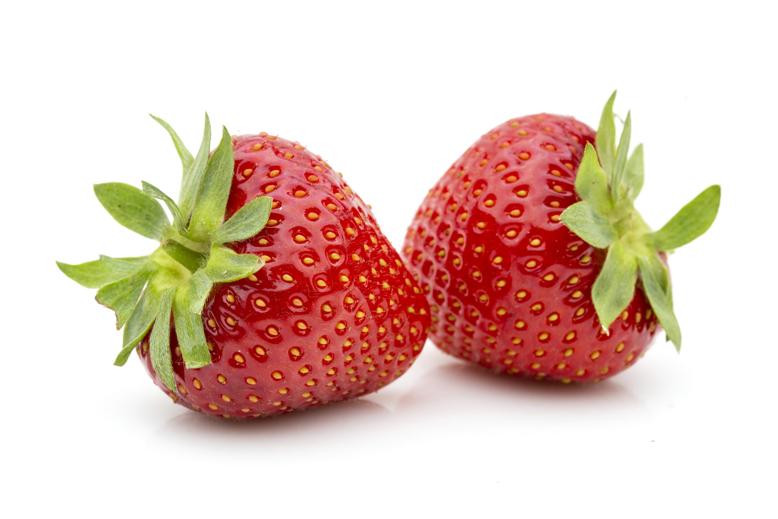 Verdi 2 FE1711 Marga studio 2019 (4) Verdi aardbeien