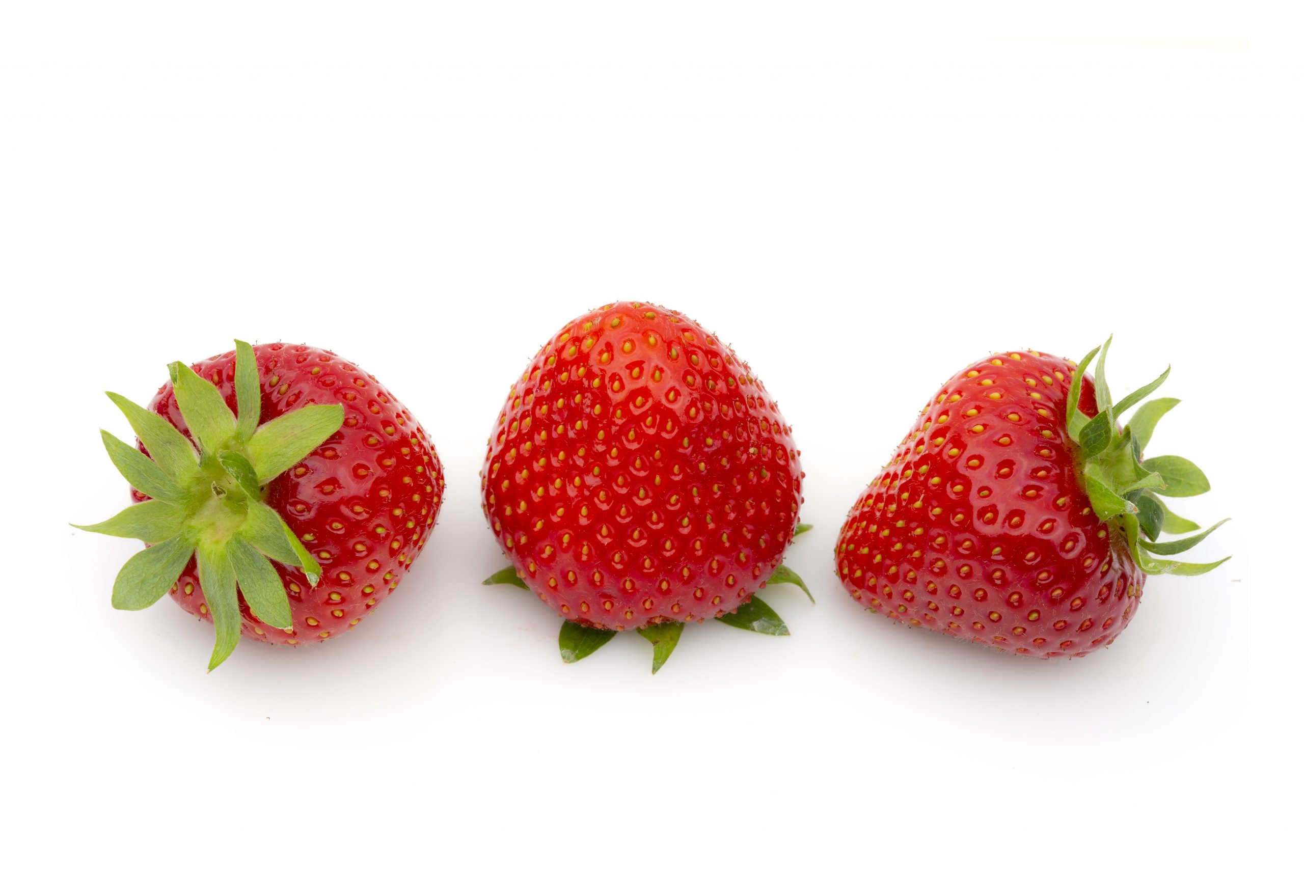 Verdi 4 FE1711 Marga studio 2019 (7) Verdi aardbeien van aardbeiplanten