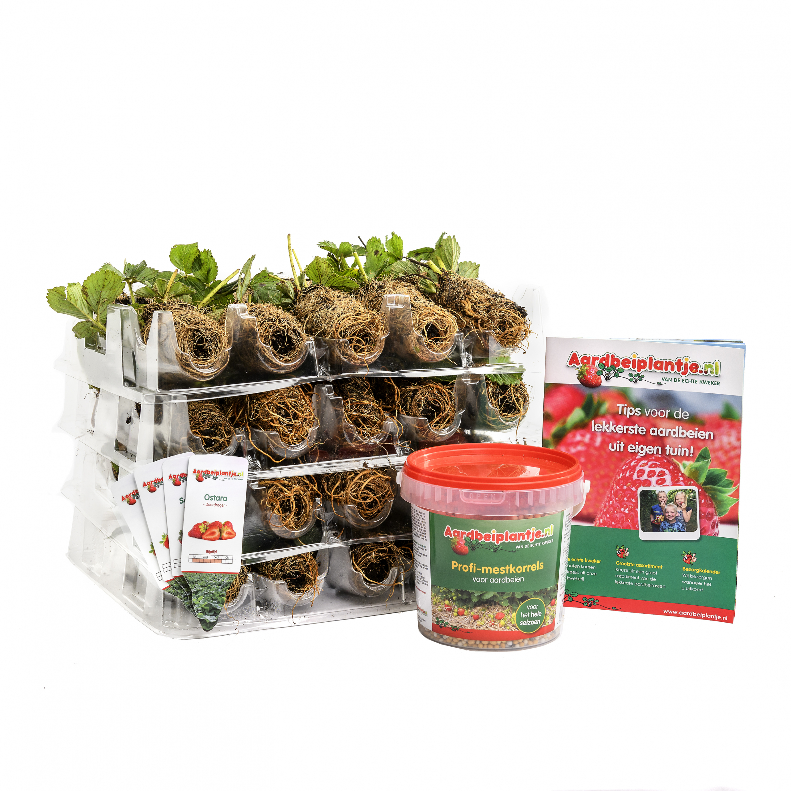 Henselmans-8044 b kl Smulpakketten powerplants, 40 en 80 stuks, met steeketiketten