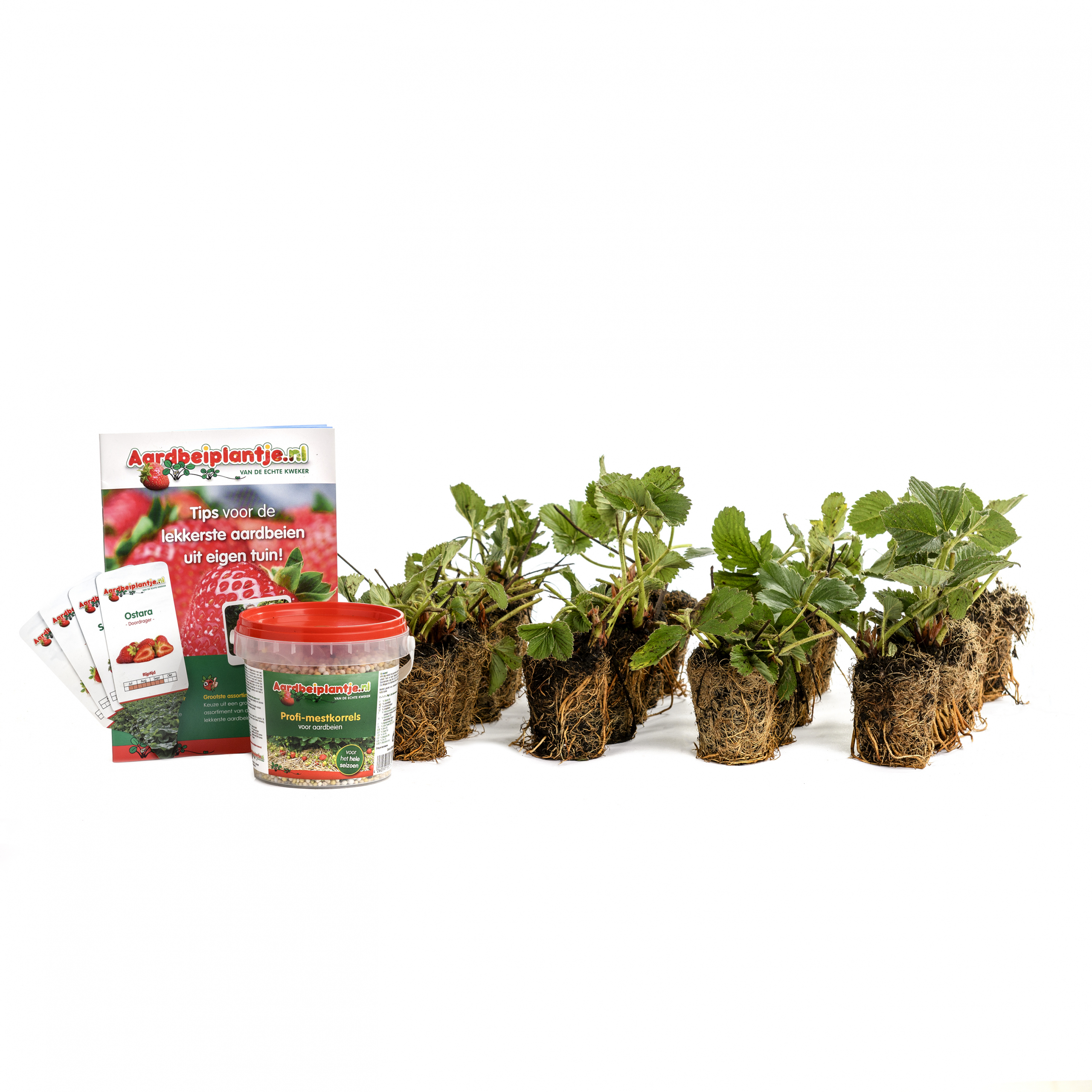 Henselmans-8105 b kl Smulpakketten powerplants, 20 stuks, met steeketiketten