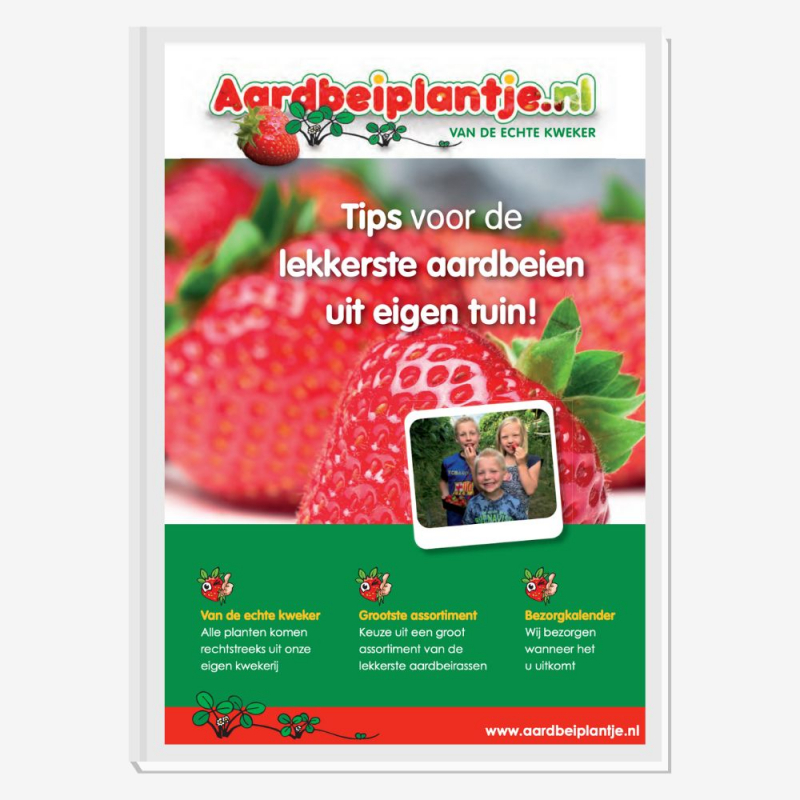 Aardbeiplantje brochure