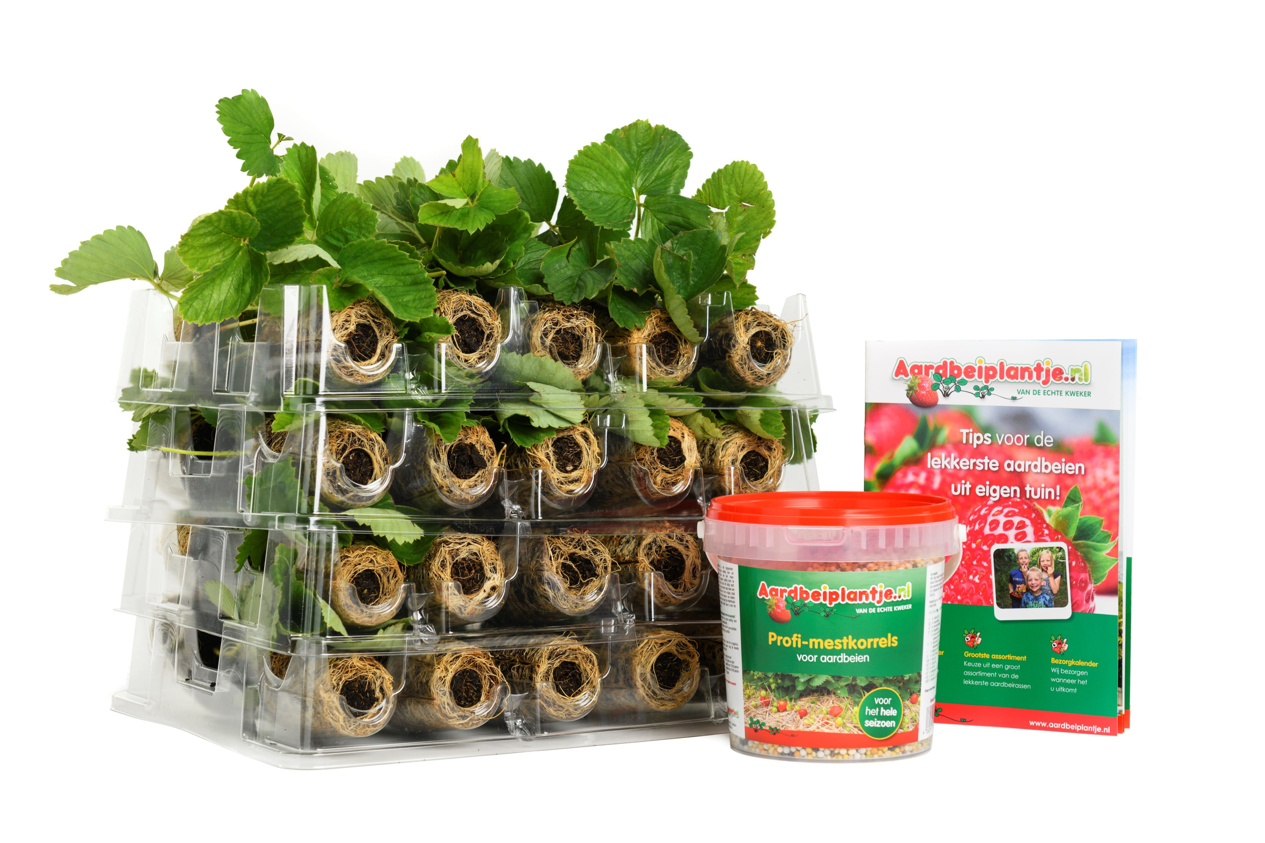 Henselmans -4317b smulpakket verse powerplants 40 0f 80 stuks