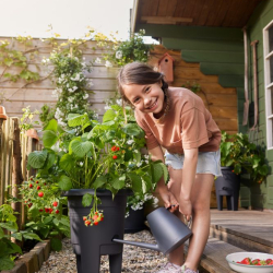 elho Aardbeienpot – makkelijk je aardbeiplanten water geven in het waterreservoir