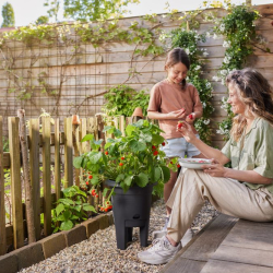 elho Aardbeienpot – met de ondersteuning van trossen aardbeien door extra brede potrand, pluk je de lekkerste aardbeien