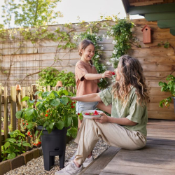 Iedereen kan genieten van zelfgekweekte aardbeien in de elho Aardbeienpot