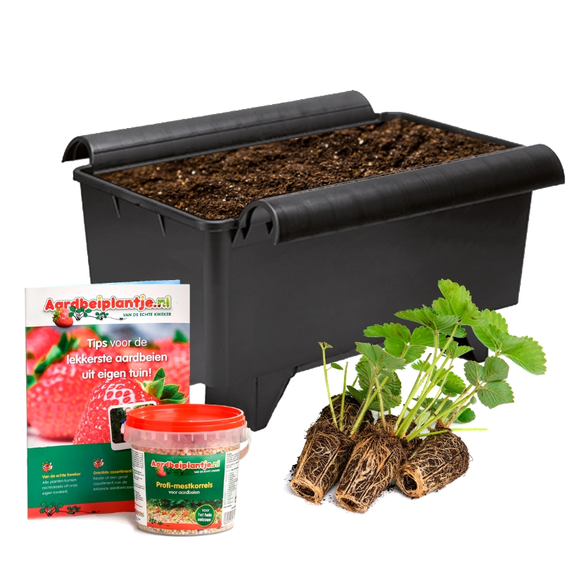 AIO_fresh plants_AP_webshop use Alles-1-pakket verse planten