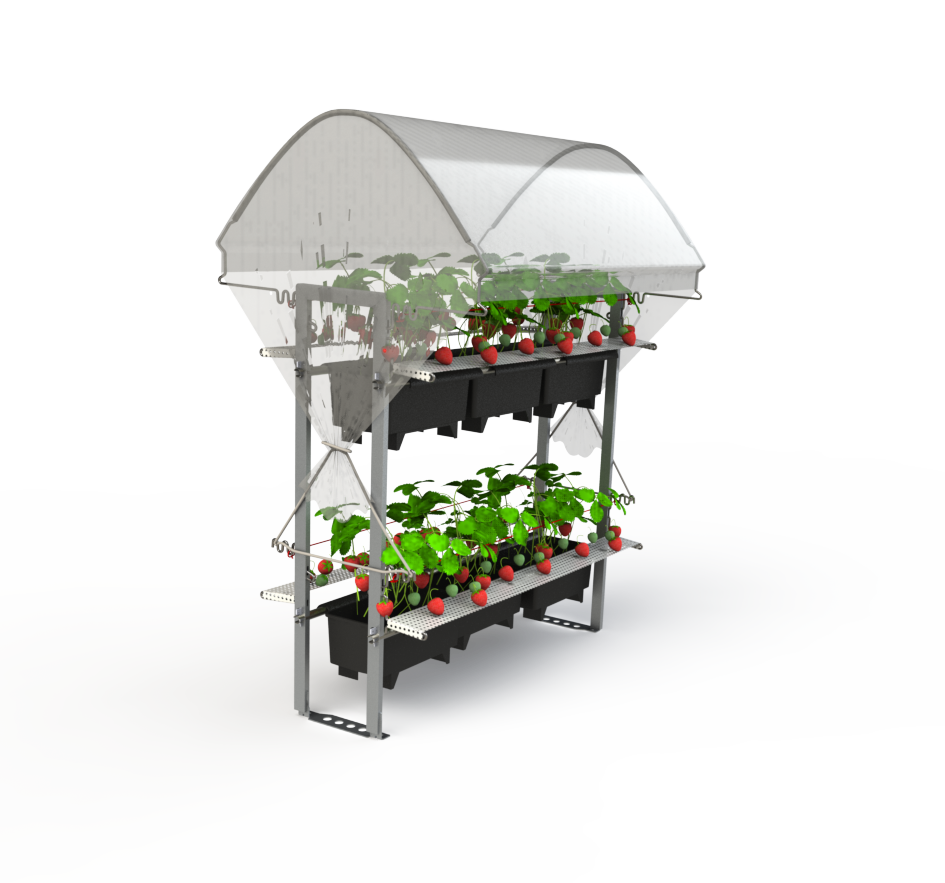 Berry Rack compleet met 6 BATO aardbeienbakken