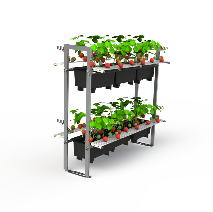 Berry Rack basis met 6 BATO aardbeien bakken