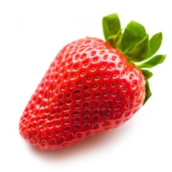 Maxim aardbei van stg-aardbeiplantje-staging.kinsta.cloud