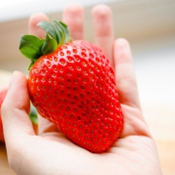 Maxim aardbei is een hand vol